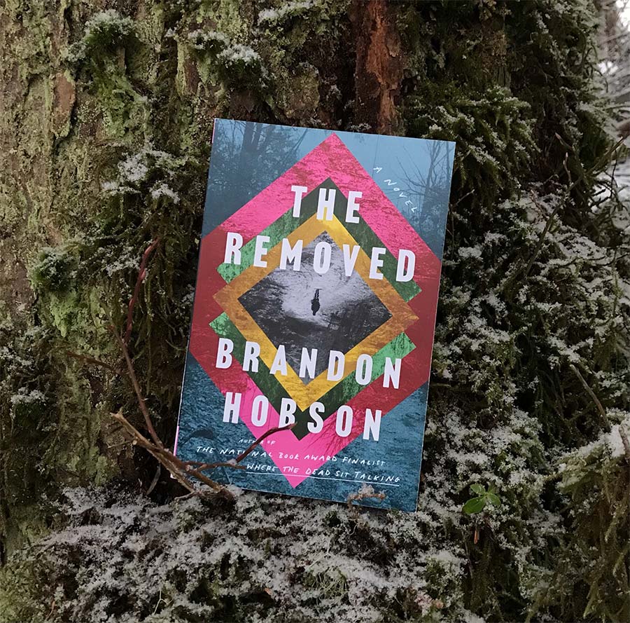 The Removed book sitting on a tree