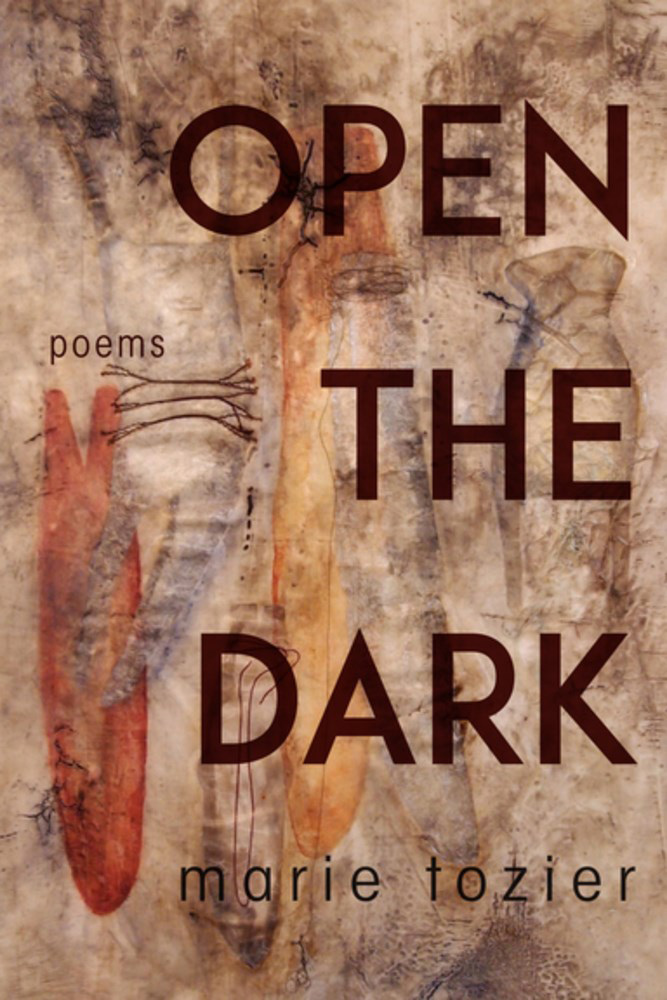 Open the Dark - Book cover