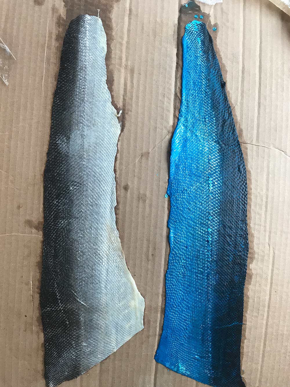 Fish skins
