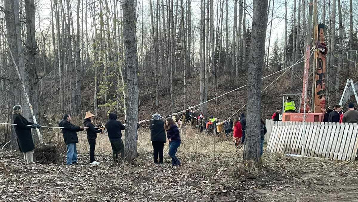 distant view of people holding ropes in groups, adjusting the Boarding School Healing Totem Pole 